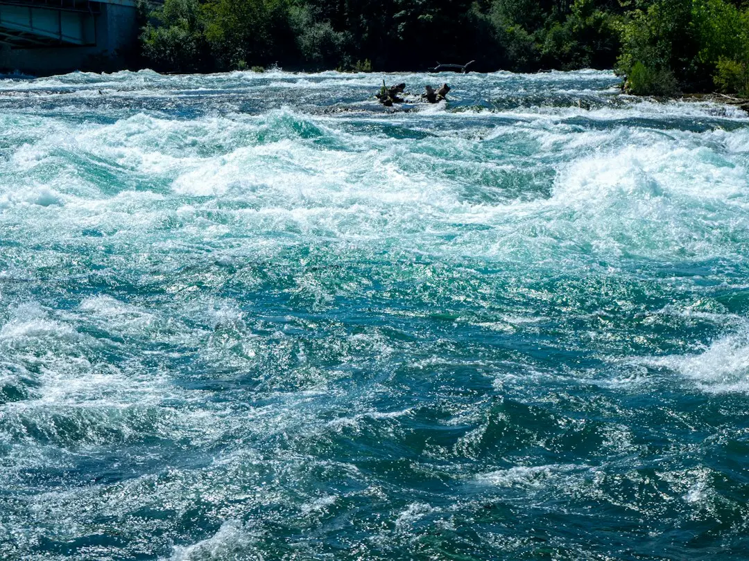 Cum să-ți creezi rapid o plasă de siguranță financiară de patru salarii